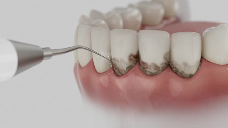 Reliable Dental contractor in Latrobe, PA by Dentist Open Now